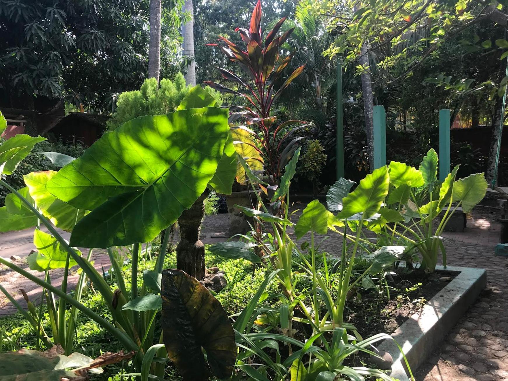Hostal Tia Reyna El Zonte Kültér fotó